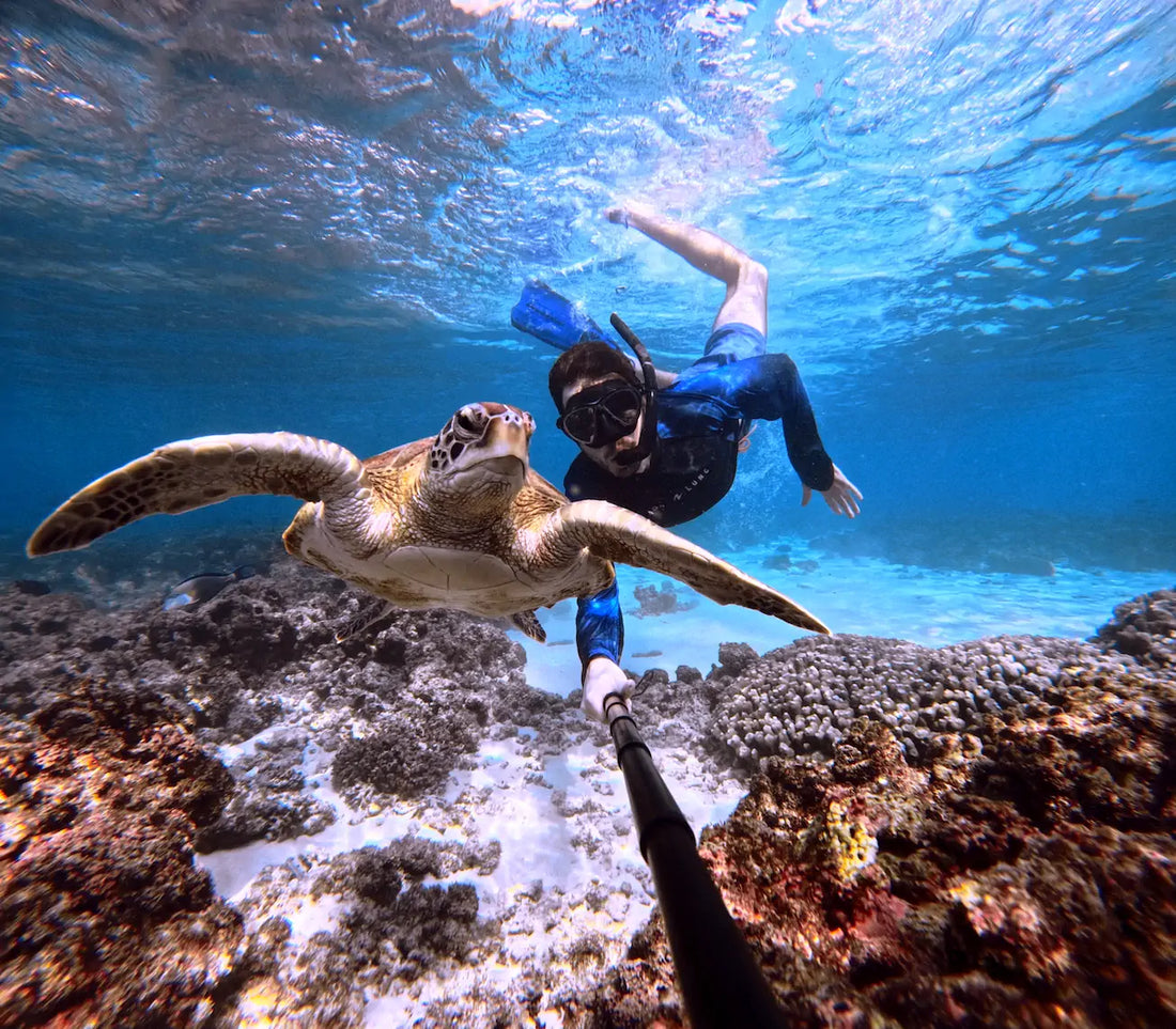 Surviving the First Year in E-commerce: Lessons from the Ocean