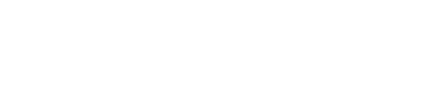 Shopify Plus Logo in transparent background